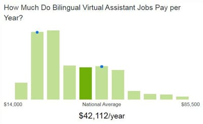 How Much Bilingual Virtual Assistants Earn
