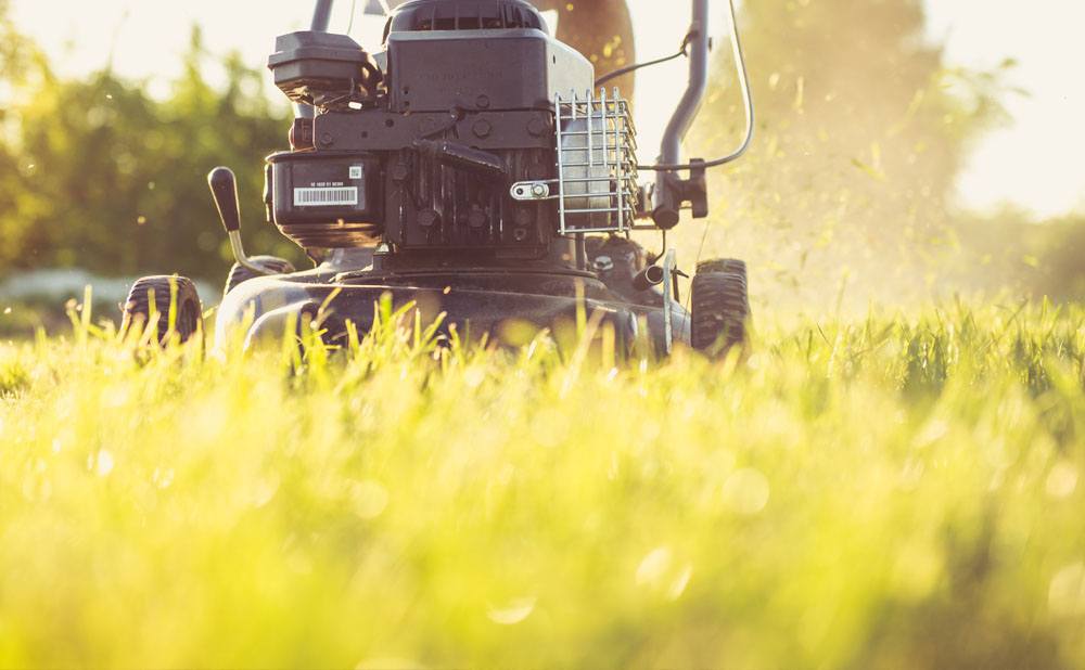 Lawncare Side Business for Students